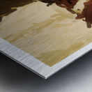 Warmth of a Summer Sun Metal print