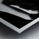 Stretch and Hide Metal print