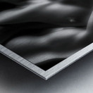 Surrender Metal print