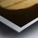 Silhouette Metal print