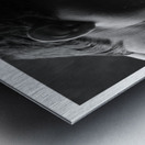 Sweet Embrace Metal print