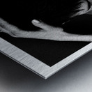 Hold Me Part Five Metal print