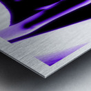 Royal Glow Metal print