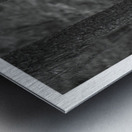 When Trees Give Up Their Secrets Pt. 2 Metal print