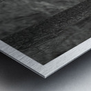 When Trees Give Up Their Secrets Pt. 1 Metal print