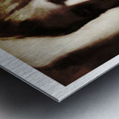 A Dreamers s Portrait Metal print