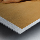 In the Moment Metal print