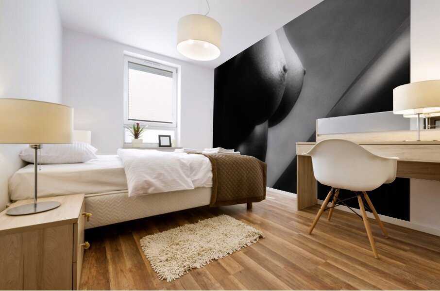 Shadow Play Mural print