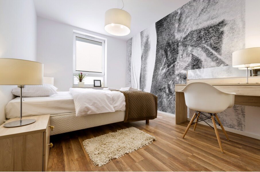 Rising from Water Mural print