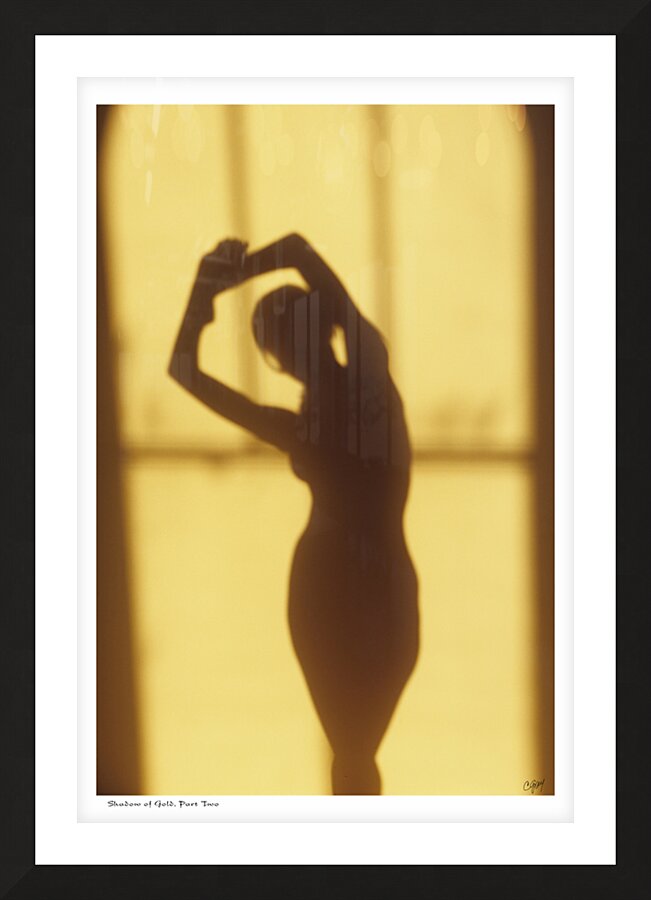 Shadow of Gold part two Picture Frame print