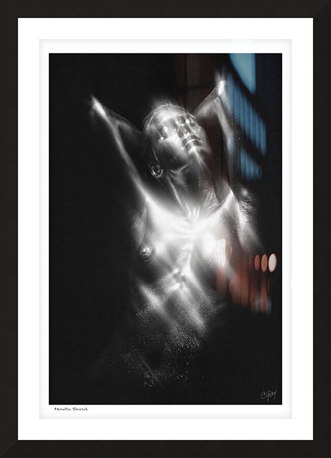 Metallic Stretch Picture Frame print