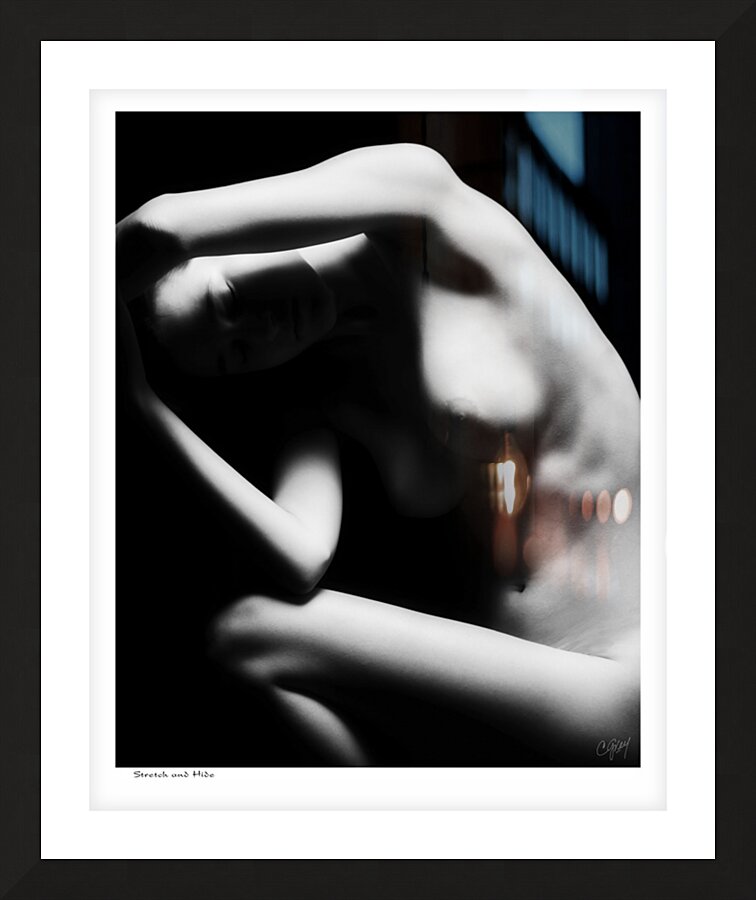 Stretch and Hide Picture Frame print