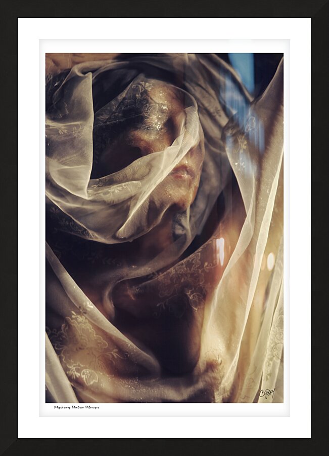 Mystery Under Wraps Picture Frame print