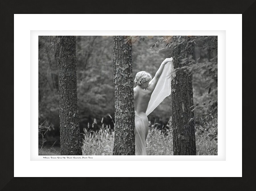 When Trees Give Up Their Secrets Pt. 2 Picture Frame print