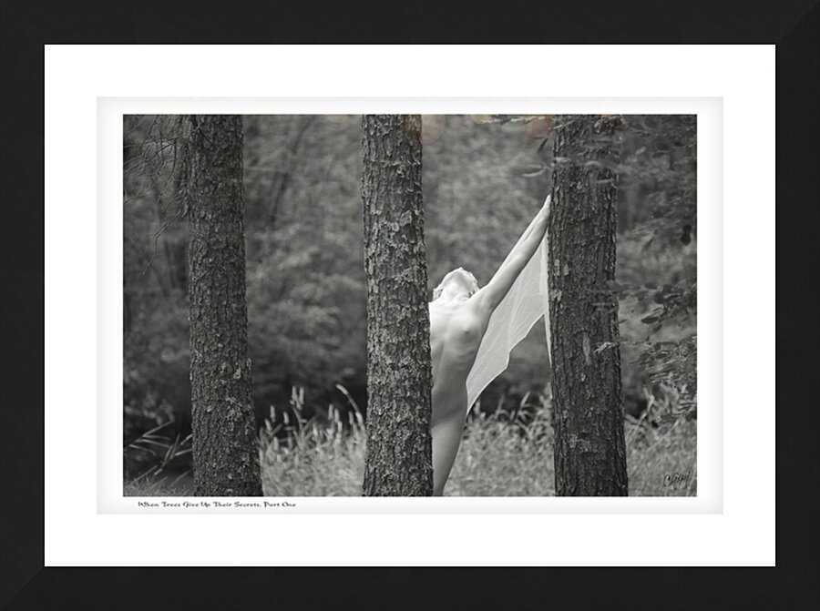 When Trees Give Up Their Secrets Pt. 1 Picture Frame print