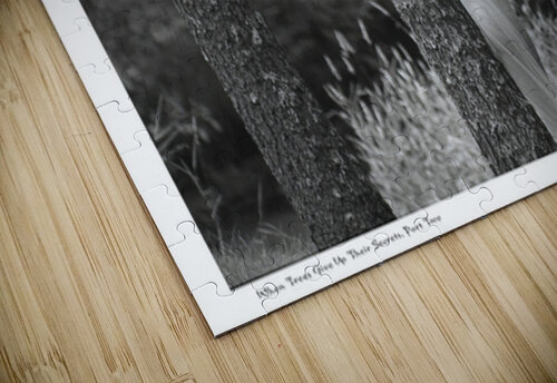 When Trees Give Up Their Secrets Pt. 2 Sexy Bedroom Art puzzle