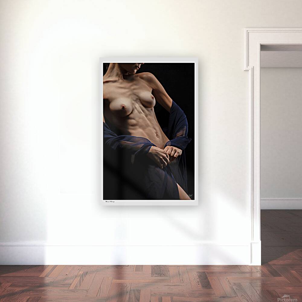 Blue Wrap Reproduction