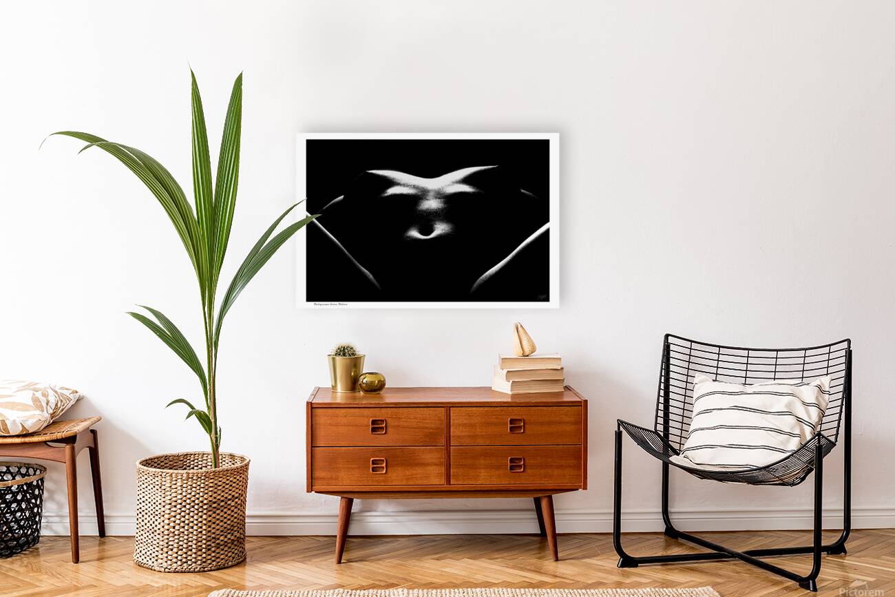 Bodyscape from Below Reproduction