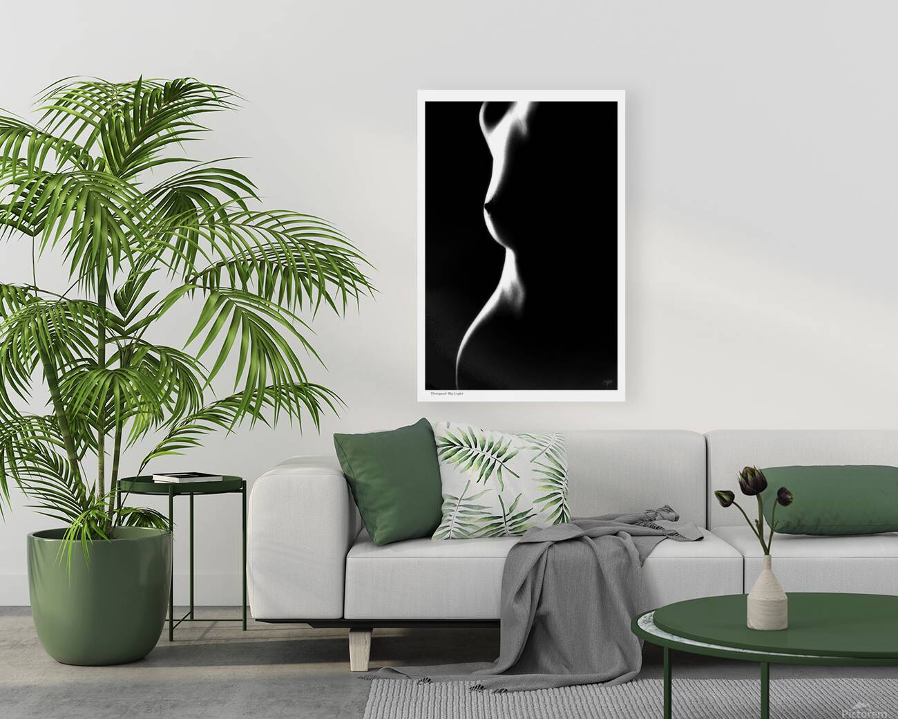 Designed by Light Reproduction