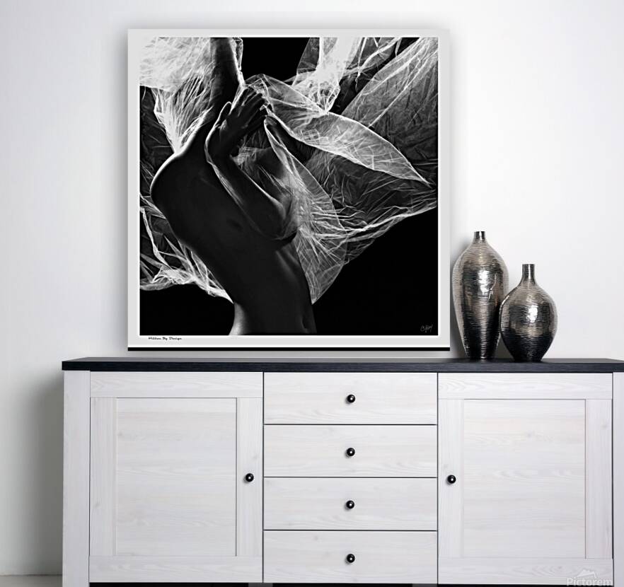 Hidden by Design Reproduction