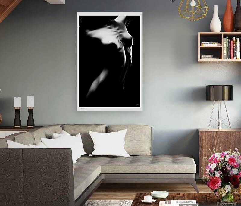 Torso46 Reproduction