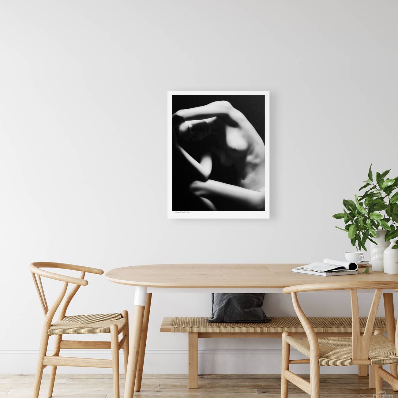 Stretch and Hide Reproduction