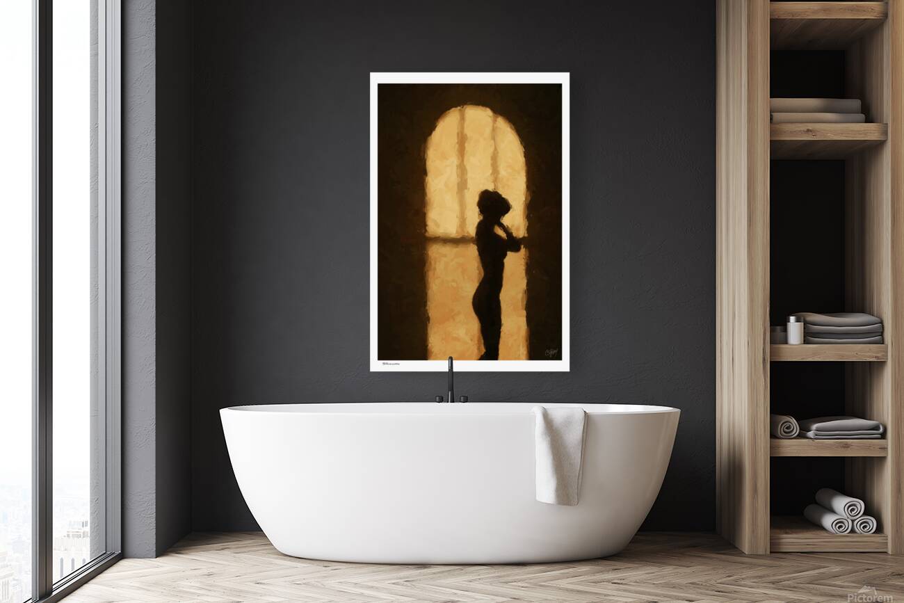 Silhouette Reproduction