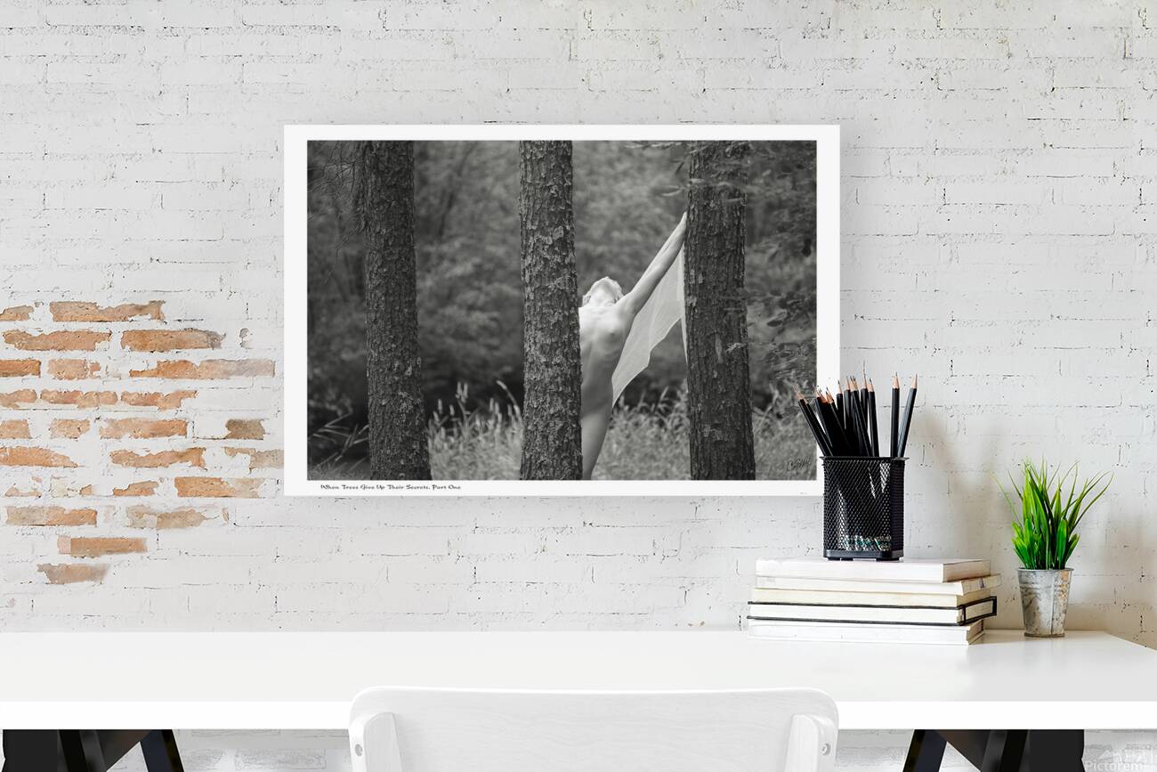 When Trees Give Up Their Secrets Pt. 1 Reproduction