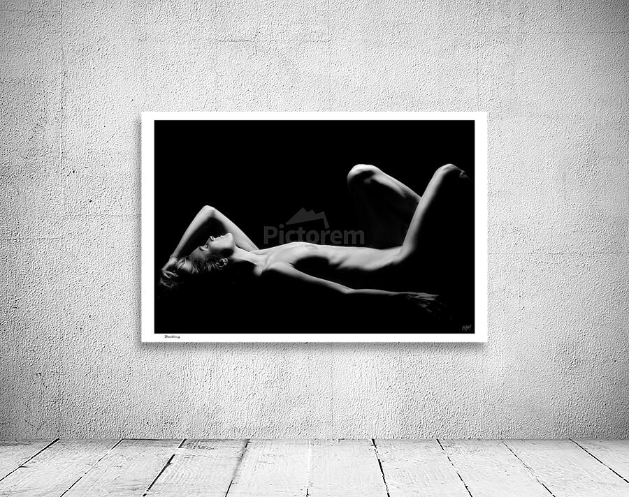 Basking Wall Preview