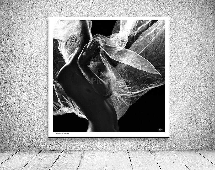 Hidden by Design Wall Preview