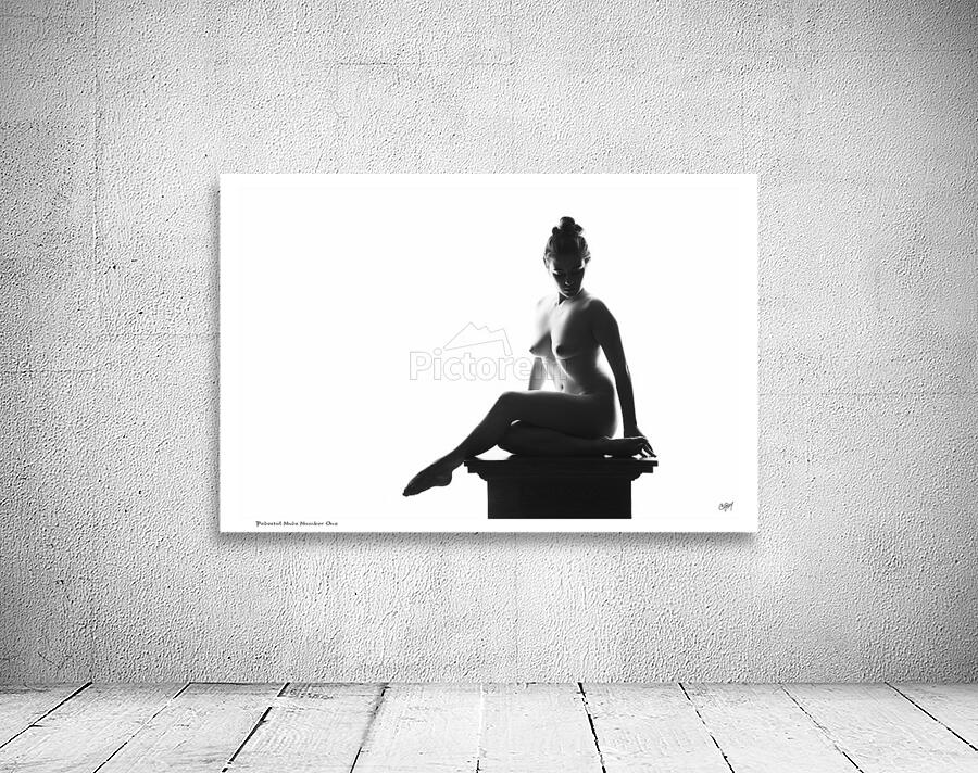 Pedestal Nude Number One Wall Preview