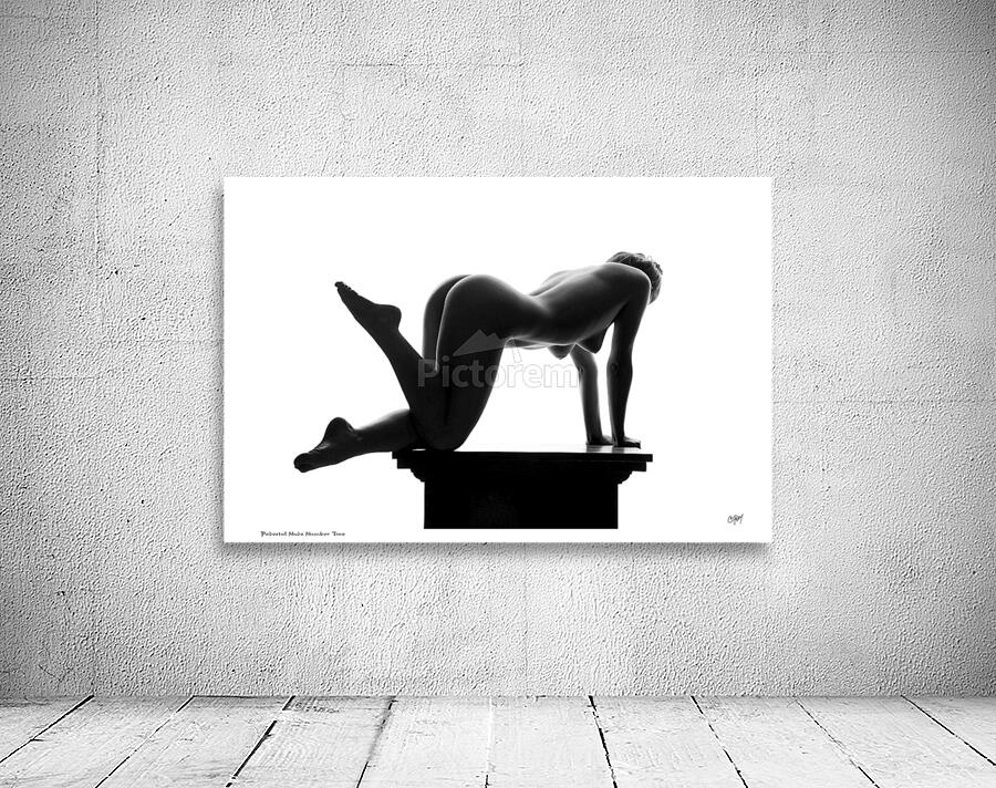 Pedestal Nude Number Two Wall Preview