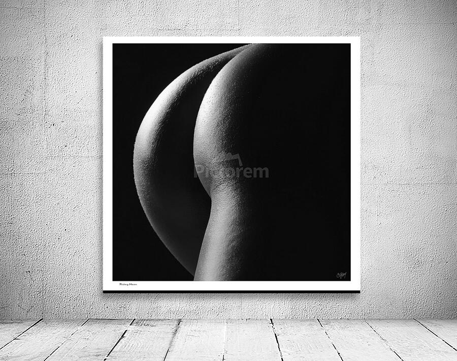 Rising Moon Wall Preview