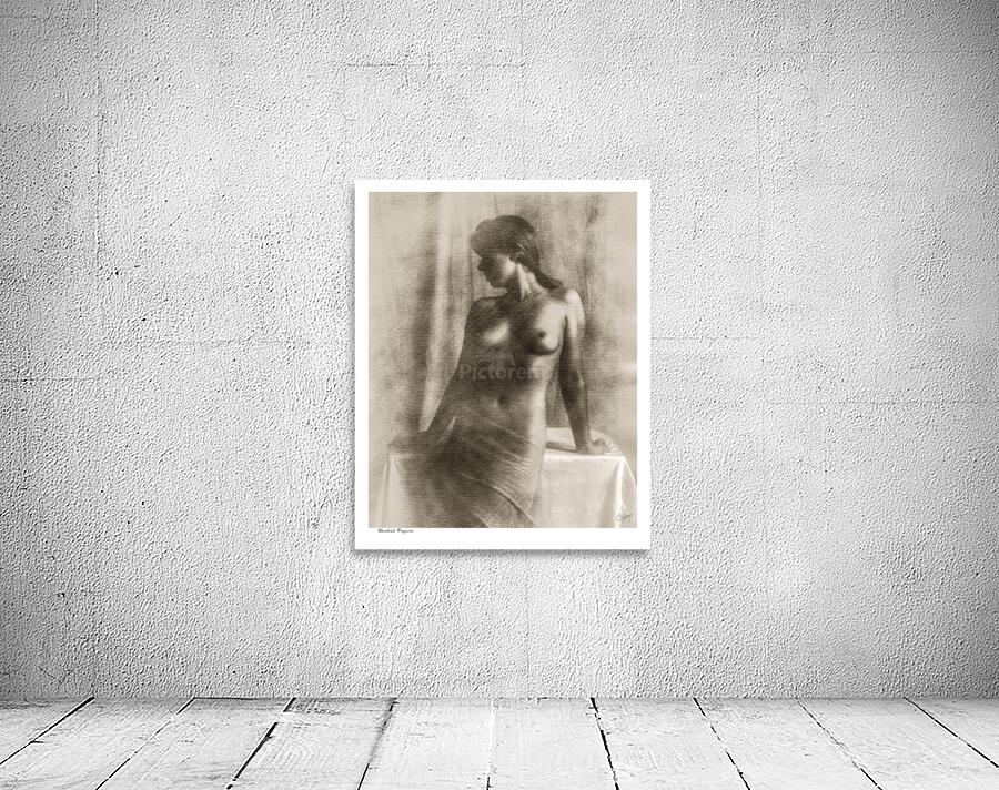 Shaded Figure Wall Preview