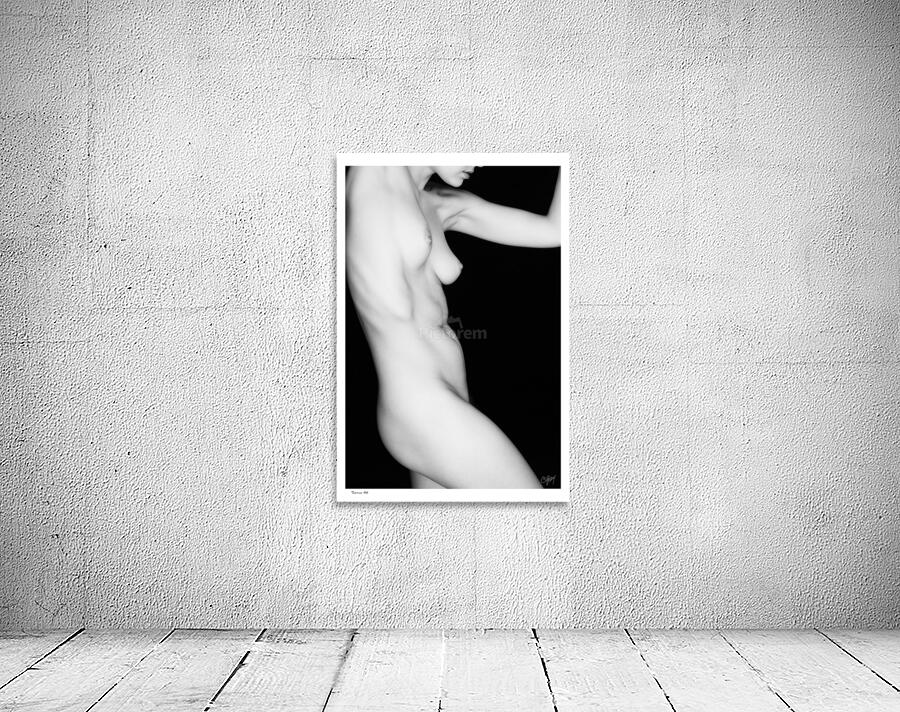 Torso46 Wall Preview