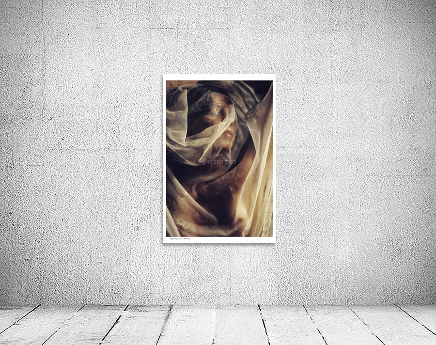 Mystery Under Wraps Wall Preview