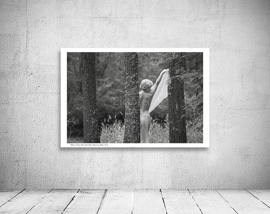 When Trees Give Up Their Secrets Pt. 2 Wall Preview