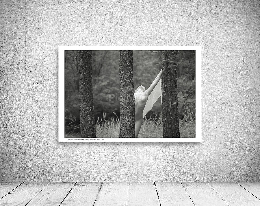 When Trees Give Up Their Secrets Pt. 1 Wall Preview