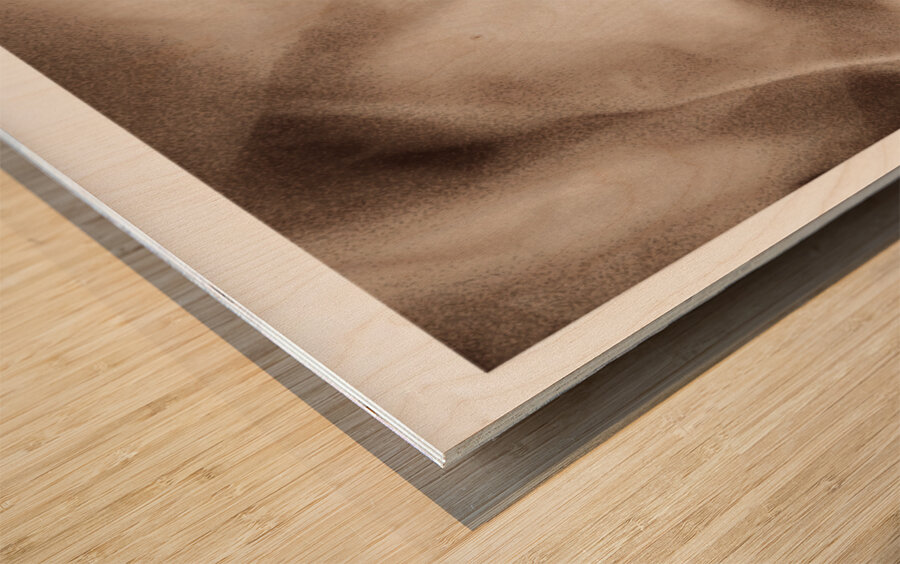 Hidden Away Wood print