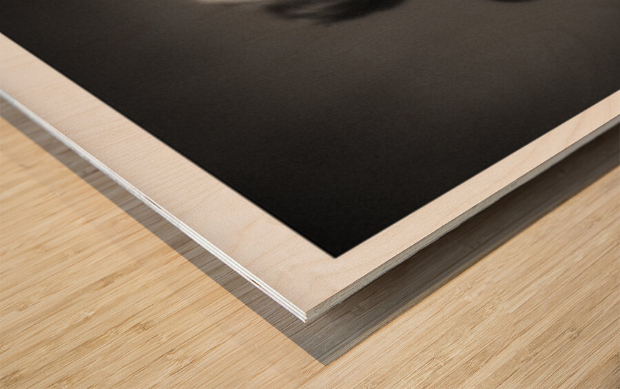 From the Back Wood print