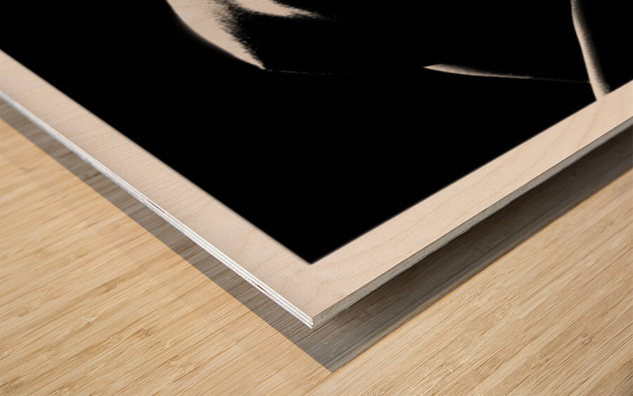 Bodyscape from Below Wood print