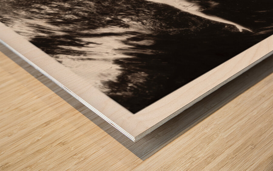 A Downstream Float Wood print