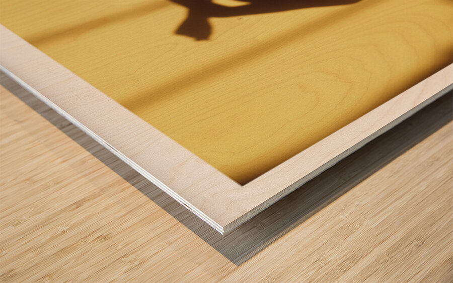 Shadow of Gold part one Wood print