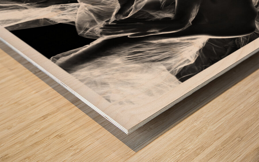 Hidden by Design Wood print