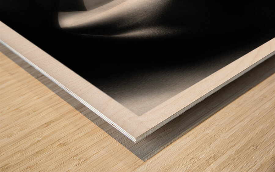 Shadow Play Wood print