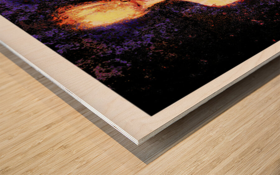 Shadows from a Window Wood print