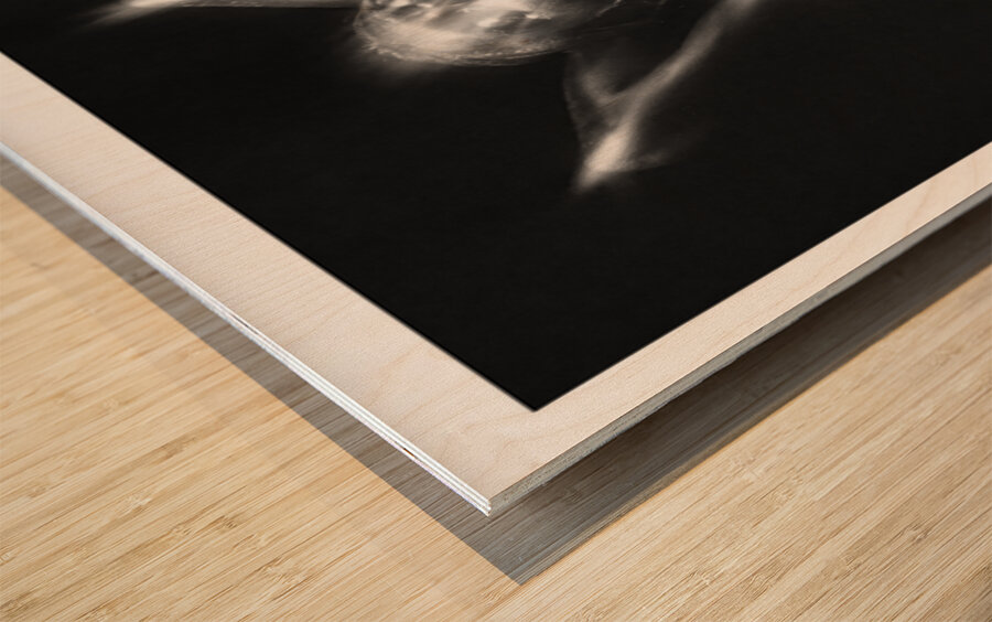 Metallic Stretch Wood print