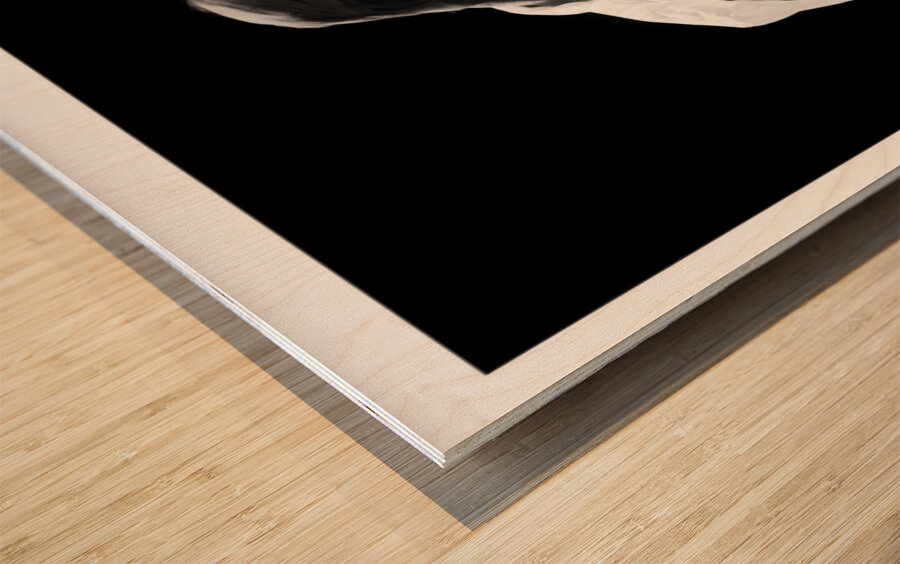 Getting Ready Part One Wood print