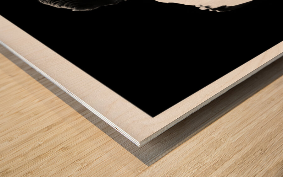 Getting Ready Part Two Wood print