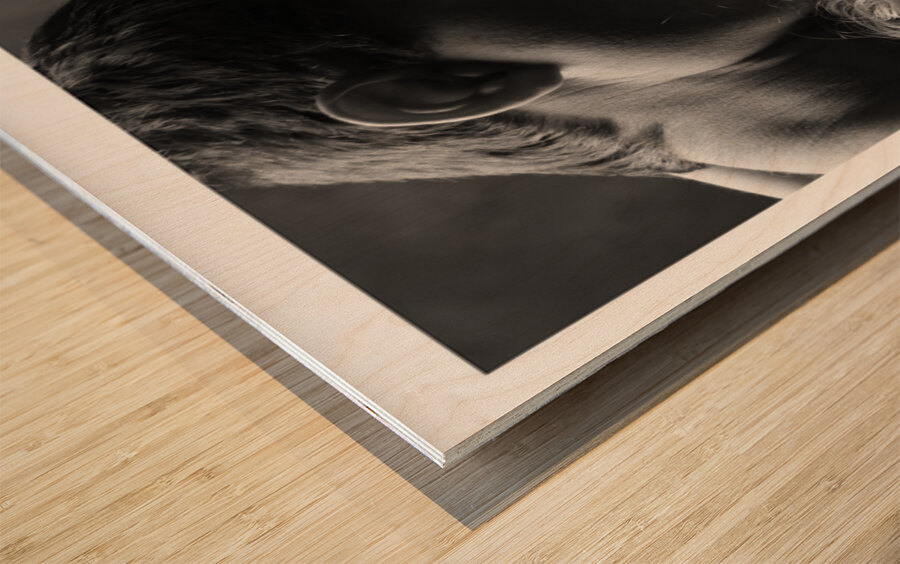 Sweet Embrace Wood print